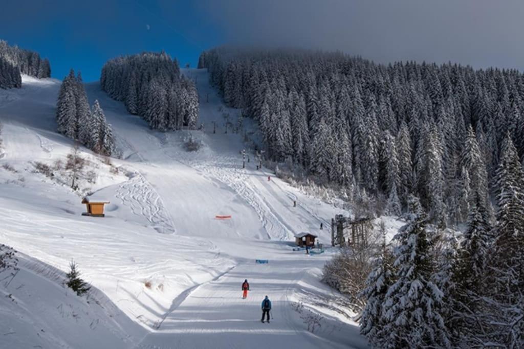 Saint-Jean-dʼAulps Dans Residence Neuve Le Snow Roc Sur Les Pistes, Grand Studio Cosy 5 Pers Avec Terrasse Panoramique, Sauna, Wifi מראה חיצוני תמונה