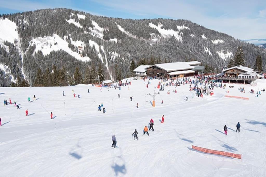 Saint-Jean-dʼAulps Dans Residence Neuve Le Snow Roc Sur Les Pistes, Grand Studio Cosy 5 Pers Avec Terrasse Panoramique, Sauna, Wifi מראה חיצוני תמונה